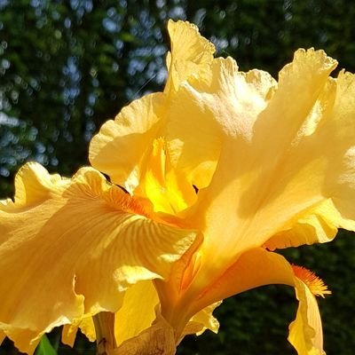 AnneBennani's profile picture.
