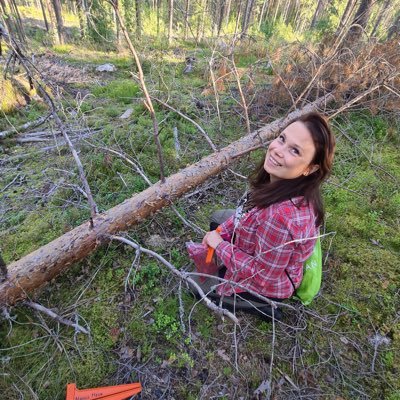 Senior scientist in the field of Forest Pathology at Natural Resources Institute Finland (Luke). Title of Docent in Forest Pathology.