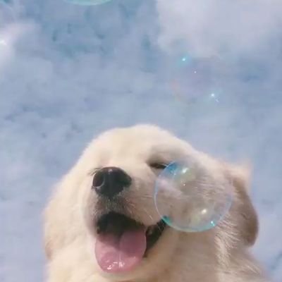 Upaasnaaa's profile picture. Sunshine mixed with a little hurricane 🙊