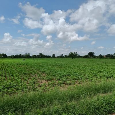 prajvishnoi's profile picture. Trying to escape rate race