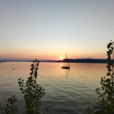 Adelheid6511's profile picture. Klardenkende Oma 🫶