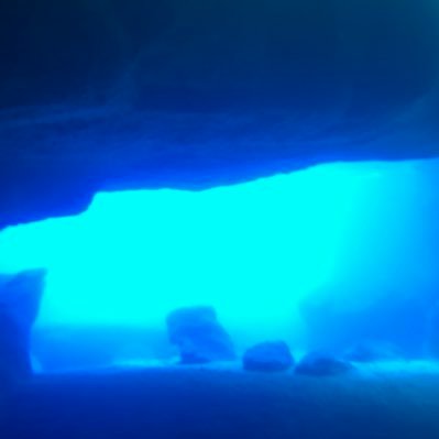 david_mauri's profile picture. 