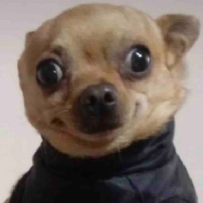 Myxhel's profile picture. Te escribí un poema 😮‍💨