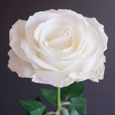 i73855's profile picture. 