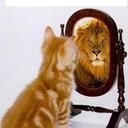 andy coria - @CoriaAndy - Twitter