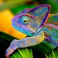 Jade (@26az1) 's Twitter Profile Photo