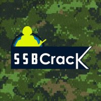 SSBCrack(@SSBCrack) 's Twitter Profile Photo