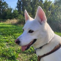 Maya (@__mayaline__) 's Twitter Profile
