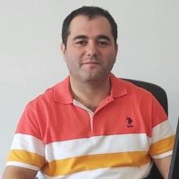 Hamza Malik Okuyan(@OkuyanLab) 's Twitter Profile Photo