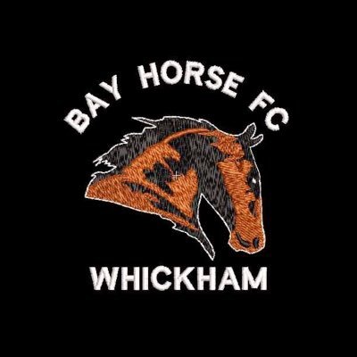 Official Account. North East Combination League⚽️ #Vivalahorse 🐴