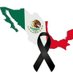 Luz María (@lm_meza) Twitter profile photo