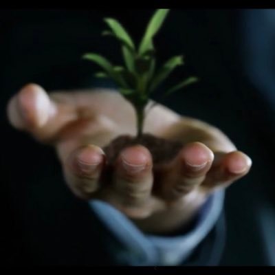 BarnesDavi93729's profile picture. 