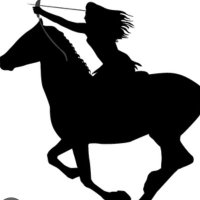 MUJER EN COMBATE (@mujerencombate) 's Twitter Profile Photo