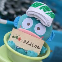 あおちぃ(@blue_moon_k) 's Twitter Profile Photo
