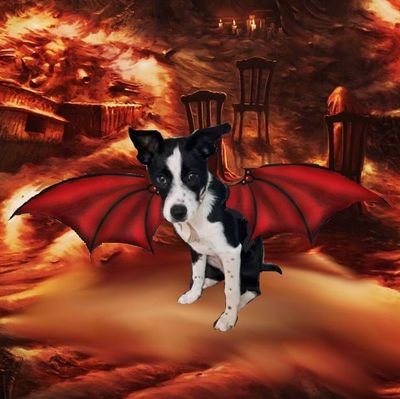 KennerEdgar's profile picture. 