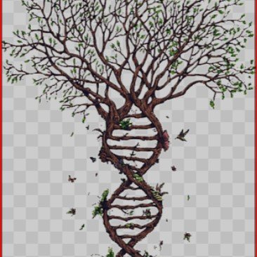 #Genealogy#DNA#Archives https://t.co/MGQLB9naDl https://t.co/EjGyyPhzua https://t.co/55Sbd4nxR9 https://t.co/55eEegLwoc https://t.co/8a8b2G0wHH https://t.co/I4L4bQvpyw https://t.co/1Dnkk56Afm