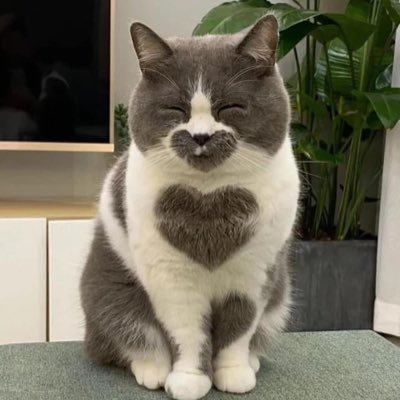 bul_sta's profile picture. My bio