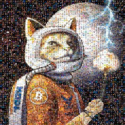 MickeyMous_6000's profile picture. electrical engineering technician #bitcoin