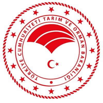 TarCorlu's profile picture. 