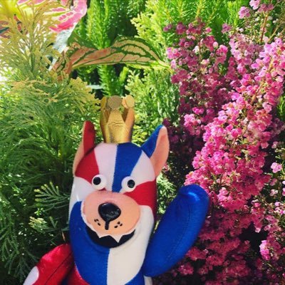 hBQhMQBOkZkNdOk's profile picture. 沖縄／琉球ゴールデンキングス／沖縄アリーナ／天皇杯決勝を忘れない／JEAN-PAUL HEVIN／Chocolate／gardening／cello／Have a nice trip!