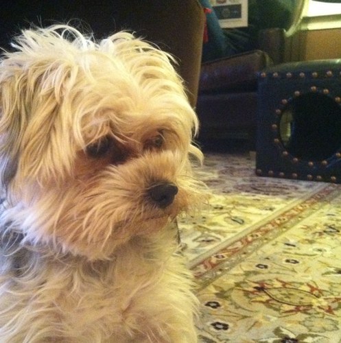 longroad2mom's profile picture. 