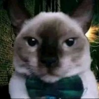 😻 (@6abaucqw4b96588) 's Twitter Profile