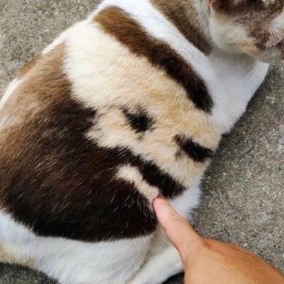 WarisSaizonou's profile picture. IFRI | Learn IT Sec| Web3 enthusiast | Love learn new tech | @AlchemyLearn ✨