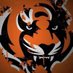 WHO DEY B STRIPES 🐯🐯 (@whodeybstripes) Twitter profile photo WHO DEY B STRIPES 🐯🐯 (@whodeybstripes) Twitter profile photo