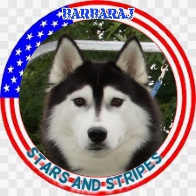 MAGA Conservative, Politics, Tech, Capitalist, 100% 👩🏻‍🦰,Protect Children, Pro-Israel, Pro-Life, Siberian Huskies🐎🇺🇸👮‍♀️👩‍🚒✝️ I follow back.😊