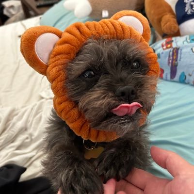 kaylapega's profile picture. Lifestyle Instagram ➡️ @kaylapega