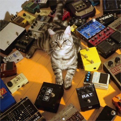 Semi-Retired music blogger. Posts junk at https://t.co/7ZdJ02kXBZ, aka @_spaceecho. Tell me about your favourite flanger pedal