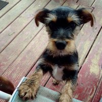 Jennifer (@offthehookwnana) 's Twitter Profile