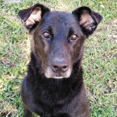 CripyCo's profile picture. Escritor. 

Siempre serio. Nada en serio.

Visita mi blog en https://t.co/M6RP5mqDvc