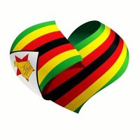 Mission of the Republic of Zimbabwe to the UN(@zimbabwe_un) 's Twitter Profile Photo