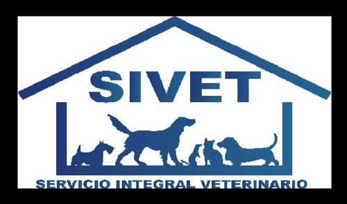 Medico Veterinario Zootecnista en SIVET