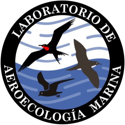 We are a group of researchers and students from @todoscicese - La Paz and @UABCSoficial interested in the study of seabirds 🐧🐦