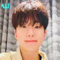 winnie (@svt_lights) 's Twitter Profile