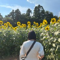 エロ仙人👴🍑@動画紹介 (@after5394025) 's Twitter Profile Photo エロ仙人👴🍑@動画紹介 (@after5394025) 's Twitter Profile Photo