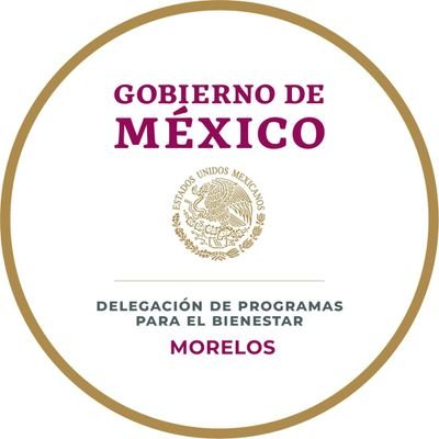Página Oficial de la Delegación de Programas para el Bienestar Morelos