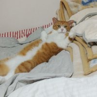 M M (@rockeychuck) 's Twitter Profile Photo