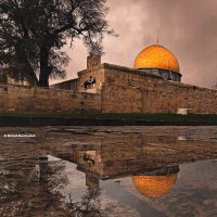 التقويم المقدسي (@quds_calendar) 's Twitter Profile
