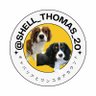 shell_thomas_20's profile picture. 犬専用アカウントを作りました。 キャバリアを飼っています。 初代 トーマス 2006年12月2日→2020年3月14日 天国支部へ 二代目 シェル 2020年6月17日→ やんちゃな男の子です^ ^ 三代目 おもち　2023年3月28日→ 初めてのトライカラーの男の子です。犬愛を呟くだけのアカウントです。