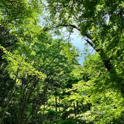 kuromi_lvbl's profile picture. 