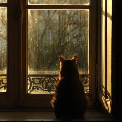 nr__f8's profile picture. نلت مرادي أم عون ( 7/2)