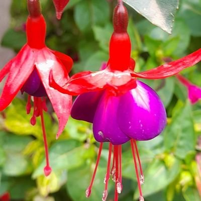 Kimeria_m's profile picture. Humanity is better than status