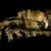 Constantinos Larkos (@lordos192571) Twitter profile photo Constantinos Larkos (@lordos192571) Twitter profile photo