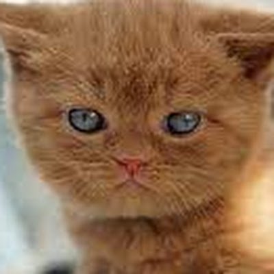 jimmythe310's profile picture. num 0667458448