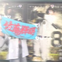 ュ ァ ·͜· (@link_luv8) 's Twitter Profile