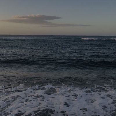 whotfiswawi's profile picture. 