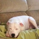 Tauna Smith - @SmithTauna - Twitter